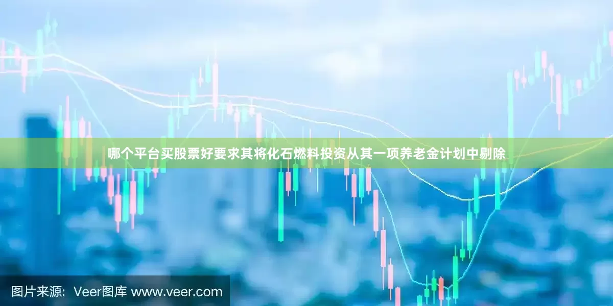 哪个平台买股票好要求其将化石燃料投资从其一项养老金计划中剔除
